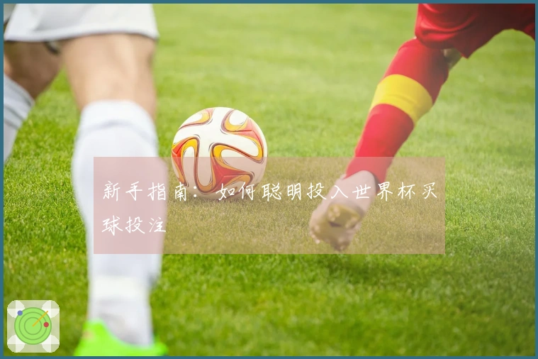 新手指南：如何聪明投入世界杯买球投注