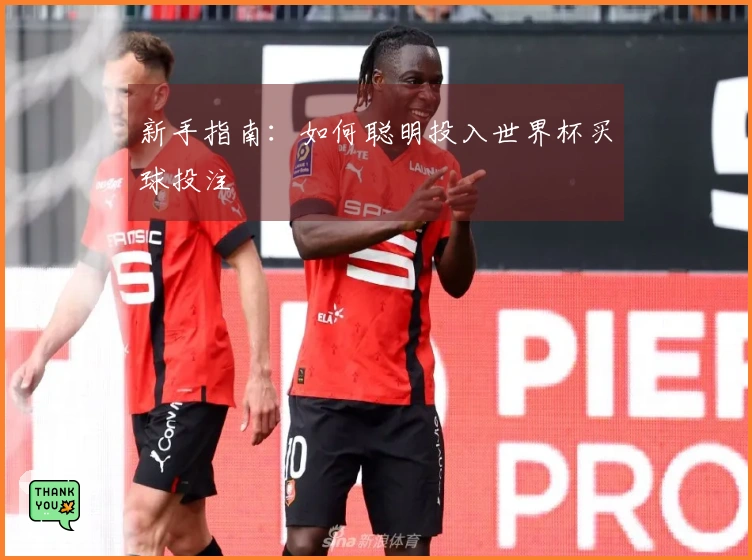 新手指南：如何聪明投入世界杯买球投注