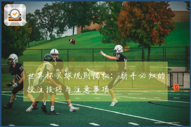 世界杯买球规则揭秘：新手必知的投注技巧与注意事项